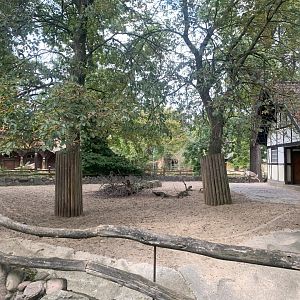 Eurasian Forest Reindeer enclosure