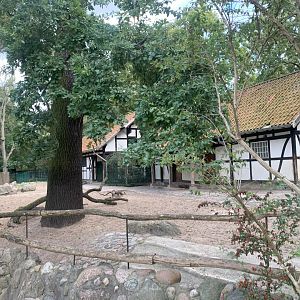 Eurasian Forest Reindeer enclosure