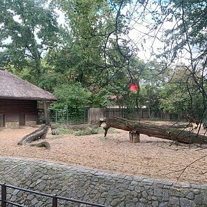 Chacoan Peccary enclosure