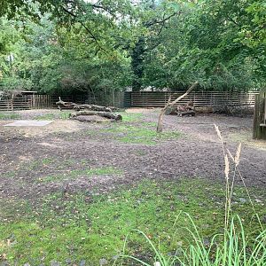 Eastern Bongo and Sitatunga enclosure