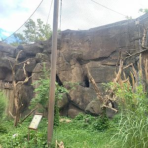 Spectacled Owl aviary