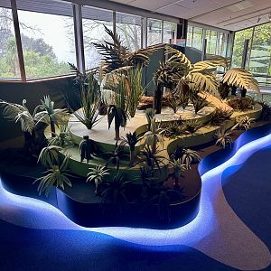 New Zealand Wetlands Exhibit