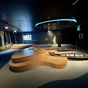 New Zealand Coast Exhibit