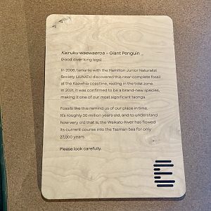 Giant Penguin (Signage)