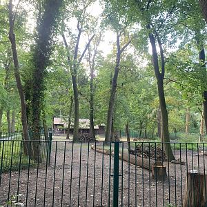 Bactrian Deer enclosure