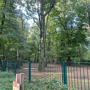 Altai Wapiti enclosure