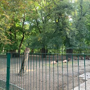 Manitoba Elk enclosure