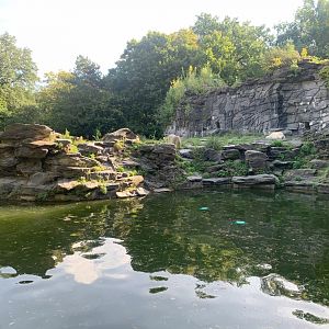 Polar Bear enclosure, side view