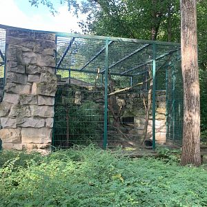 Mongoose Lemur enclosure (former Tamandua enclosure)