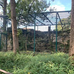 Mongoose Lemur enclosure (former Tamandua enclosure)