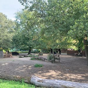 Eurasian Forest Reindeer enclosure