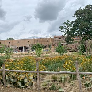 Look into the upcoming African Elephant complex