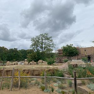 Look into the upcoming African Elephant complex
