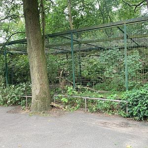 Siberian Pallas' Cat enclosure