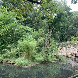 Main Mongoose Lemur enclosure