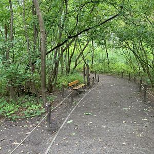Lemur Forest walktrough (Vari Wald)