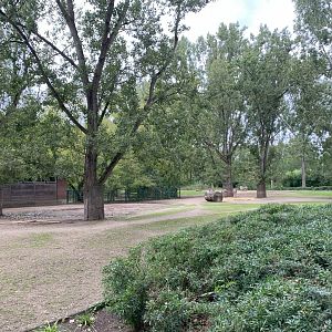 Somali Wild Ass enclosure