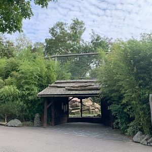 Bearded Vulture and Tibetan White Eared-pheasant aviary