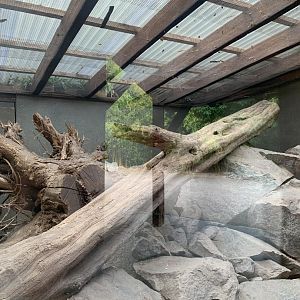 Père David's Rock Squirrel enclosure