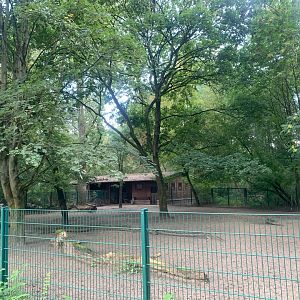 Bawean Deer enclosure