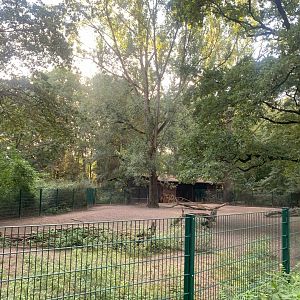 Burmese Brow-antlered Deer enclosure