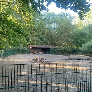 Persian Fallow Deer enclosure