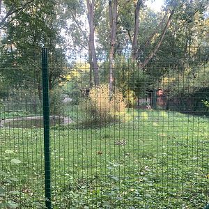 Demoiselle Crane enclosure