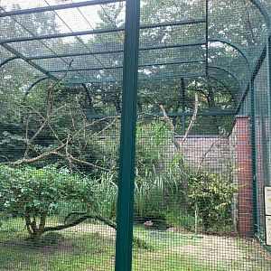 Red-fronted Macaw and Madagascan Teal enclosure
