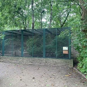 Tibetan White-eared Pheasant enclosure (example pheasantry enclosure)