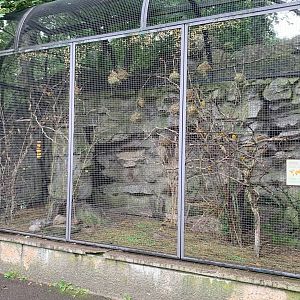 Village Weaver enclosure