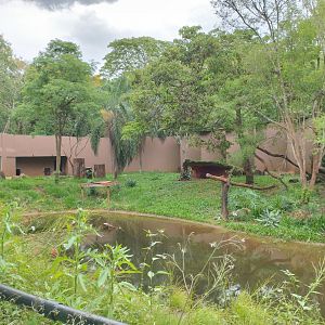 Jaguar exhibit - RBBV (ZRRL)