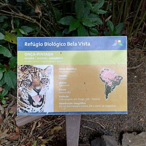 Sign example - RBBV (ZRRL)