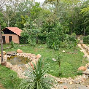 Maned wolf exhibit - RBBV (ZRRL)