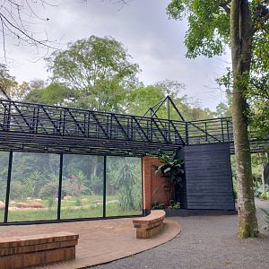 Maned wolf exhibit and pathway - RBBV (ZRRL)