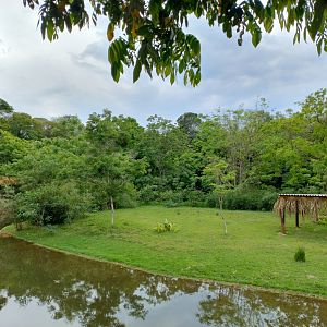 Marsh deer exhibit - RBBV (ZRRL)