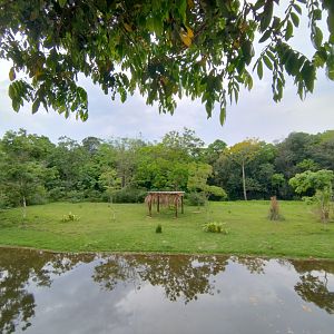 Marsh deer exhibit - RBBV (ZRRL)