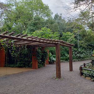 Reptile house - RBBV (ZRRL)