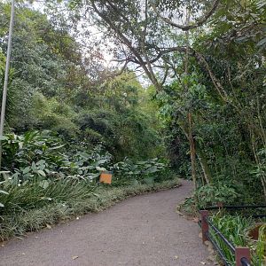 Pathway - RBBV (ZRRL)