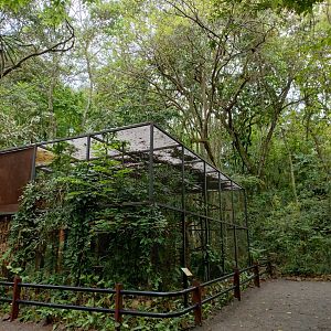 Cracids exhibit - RBBV (ZRRL)