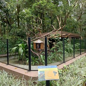 Brazilian porcupine exhibit - RBBV (ZRRL)