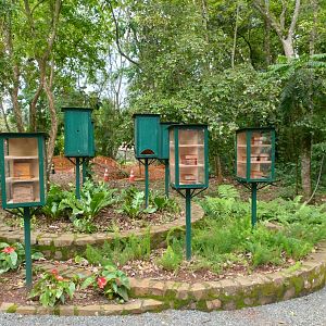 Native bees garden - RBBV (ZRRL)