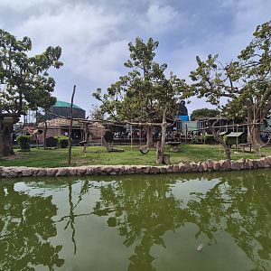 Mixed Species Island