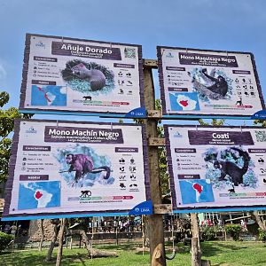 Mixed species island sign