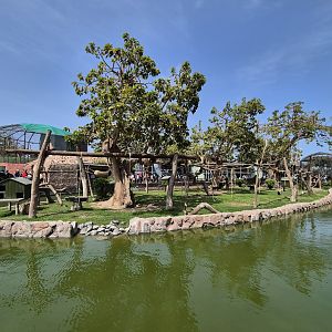 Mixed species island