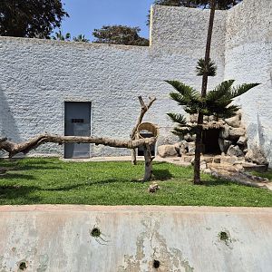 Sechuran Fox exhibit