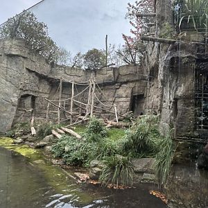 Left side of the island for mandrills or Colombian black spider monkeys