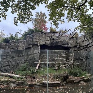 Right side of the island for mandrills or Colombian black spider monkeys