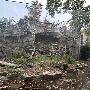 Right side of the island for mandrills or Colombian black spider monkeys