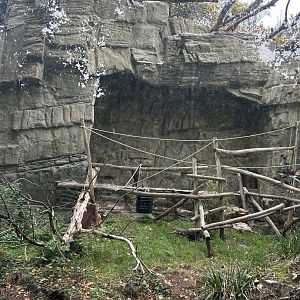Right side of the island for mandrills or Colombian black spider monkeys