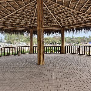 Indian Rhino viewing platform